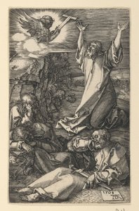  de Albrecht Dürer