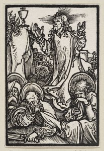  de Albrecht Dürer