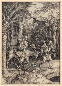  de Albrecht Dürer