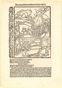 Desprezar bons conselhos de Albrecht Dürer