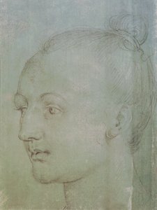 Cabeça de uma jovem mulher (giz preto aumentado com giz branco sobre papel verde) de Albrecht Dürer