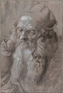 Cabeça de um homem velho, 1521 de Albrecht Dürer