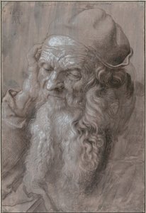 Cabeça de um velho, 1521 de Albrecht Dürer