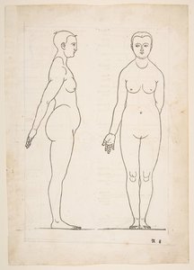 II Ilustração dos Quatro Livros da Proporção Humana de Dürer, Nuremberg, 1528.n.d. de Albrecht Dürer