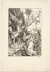 Joaquim e o Anjo, de A Vida da Virgem de Albrecht Dürer