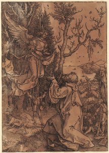  de Albrecht Dürer