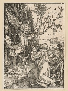  de Albrecht Dürer