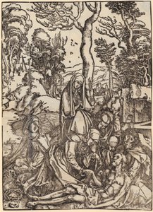  de Albrecht Dürer