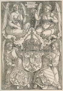 Nó com um escudo em forma de coração de Albrecht Dürer