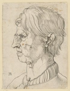 Cabeça de um homem mais velho sem barba, de perfil para a esquerda de Albrecht Dürer