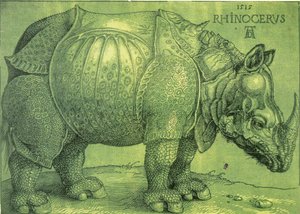 Latim:  Rhinocerus O Rinoceronte de Albrecht Dürer
