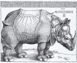 Latim:  Rhinocerus O Rinoceronte de Albrecht Dürer