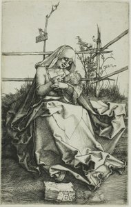 Madonna em um banco gramado de Albrecht Dürer