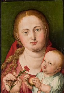 Madona com o Menino Jesus e um cravo de Albrecht Dürer