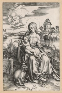 Maria com o Menino e o macaco-marinho de Albrecht Dürer