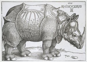 Rhinocerus
Rinocerus (título sobre o objecto) de Albrecht Dürer