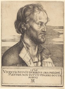  de Albrecht Dürer