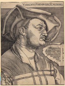 Retrato de Ulrich Varnbüler de Albrecht Dürer