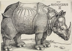 Rhinocerus (O rinoceronte) de Albrecht Dürer