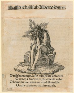 de Albrecht Dürer