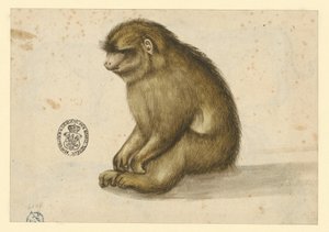  de Albrecht Dürer