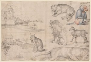  de Albrecht Dürer