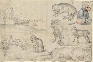Esboços de Animais e Paisagens, 1521. de Albrecht Dürer