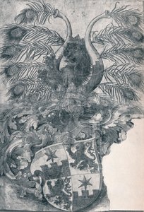 O brasão de armas de Wilhelm e Wolfgang Roggendorff, 1520 1906 de Albrecht Dürer