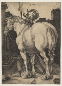 O grande cavalo de Albrecht Dürer