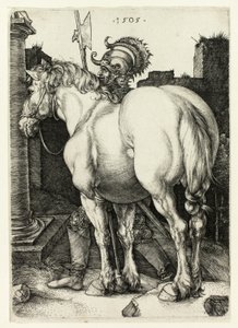 O Grande Cavalo de Albrecht Dürer