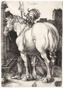 O Grande Cavalo de Albrecht Dürer