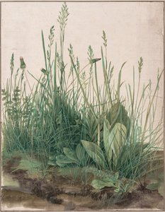 O grande pedaço de relva de Albrecht Dürer