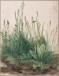 O Grande Pedaço de Relva, 1503 de Albrecht Dürer