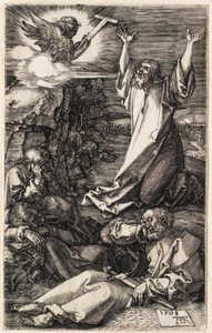  de Albrecht Dürer