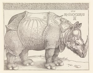 O Rinoceronte de Albrecht Dürer