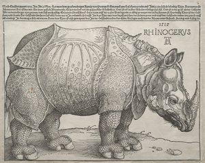 O Rinoceronte de Albrecht Dürer