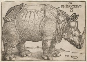  de Albrecht Dürer