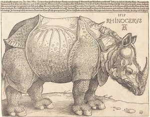 O Rinoceronte, 1515. de Albrecht Dürer