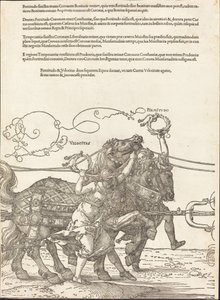 A Carruagem Triunfal de Maximiliano I (O Grande Carro Triunfal) [placa 5 de 8] de Albrecht Dürer