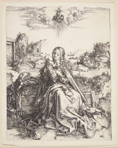 A Virgem com a libélula de Albrecht Dürer