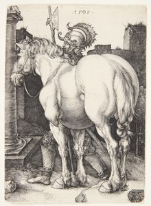 O grande cavalo de Albrecht Dürer