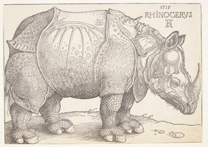 O rinoceronte de Albrecht Dürer