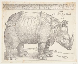 O rinoceronte de Albrecht Dürer