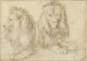 Dois leões sentados de Albrecht Dürer