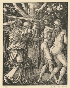  de Albrecht Dürer