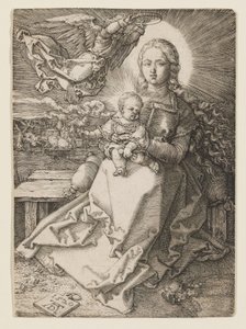  de Albrecht Dürer
