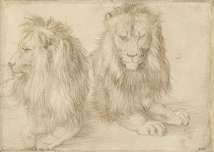 Dois leões mentirosos. 1521 de Albrecht Dürer