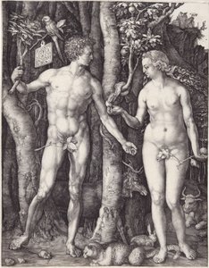 Adão e Eva, pub. 1504 (gravura) de Albrecht Dürer