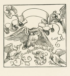 Uma coruja atacada por quatro outras aves, c.1515 (xilogravura) de Albrecht Dürer or Duerer