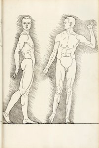 Xilogravura anatômica de Hierinn são quatro livros de proporções humanas, 1528 de Albrecht Dürer